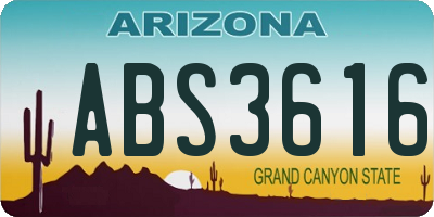 AZ license plate ABS3616