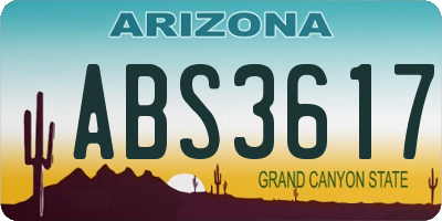 AZ license plate ABS3617