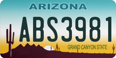 AZ license plate ABS3981