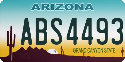 AZ license plate ABS4493