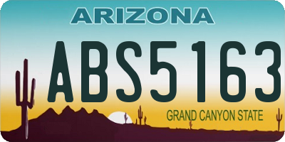 AZ license plate ABS5163