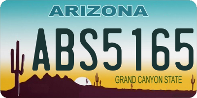 AZ license plate ABS5165