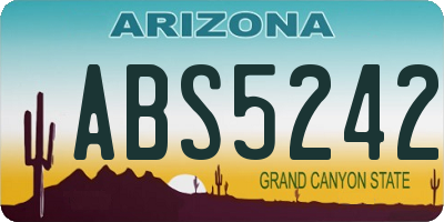 AZ license plate ABS5242