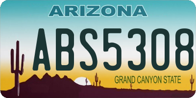 AZ license plate ABS5308