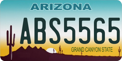 AZ license plate ABS5565