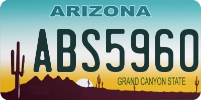 AZ license plate ABS5960