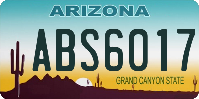 AZ license plate ABS6017