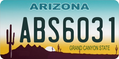 AZ license plate ABS6031