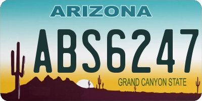 AZ license plate ABS6247