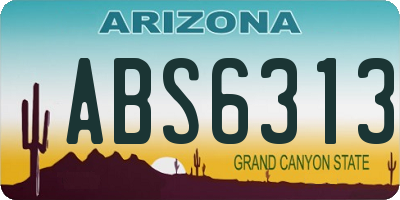 AZ license plate ABS6313