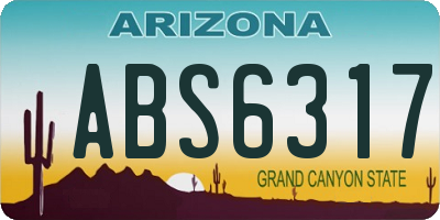 AZ license plate ABS6317