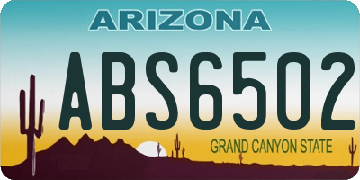 AZ license plate ABS6502