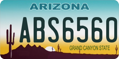 AZ license plate ABS6560