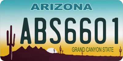 AZ license plate ABS6601