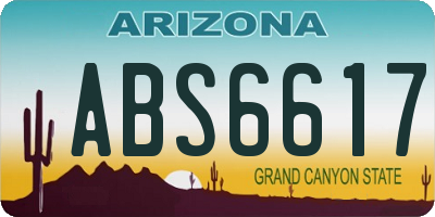 AZ license plate ABS6617