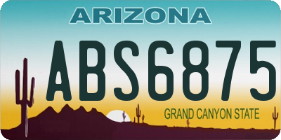 AZ license plate ABS6875