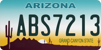 AZ license plate ABS7213