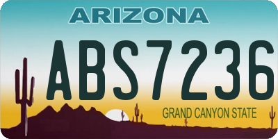 AZ license plate ABS7236