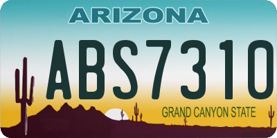 AZ license plate ABS7310