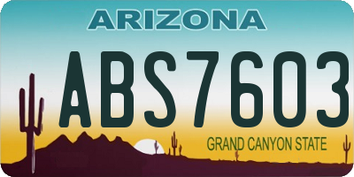 AZ license plate ABS7603