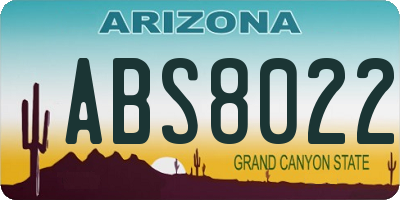 AZ license plate ABS8022