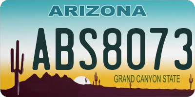 AZ license plate ABS8073