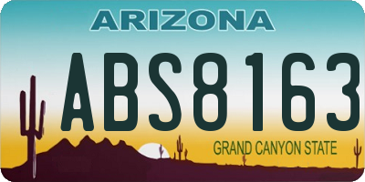 AZ license plate ABS8163