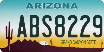 AZ license plate ABS8229