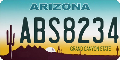 AZ license plate ABS8234
