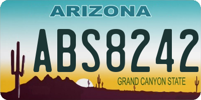 AZ license plate ABS8242