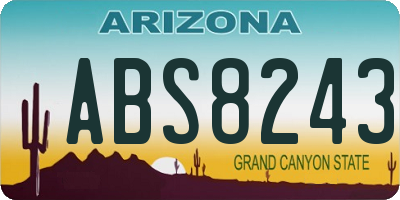 AZ license plate ABS8243