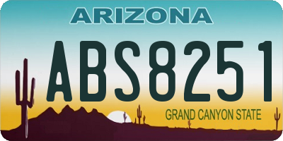 AZ license plate ABS8251