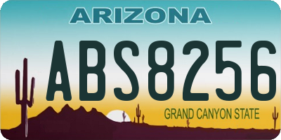 AZ license plate ABS8256