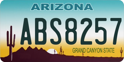 AZ license plate ABS8257