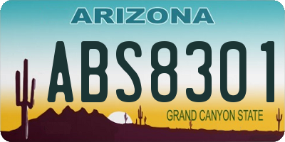 AZ license plate ABS8301
