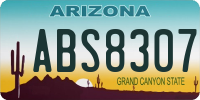 AZ license plate ABS8307