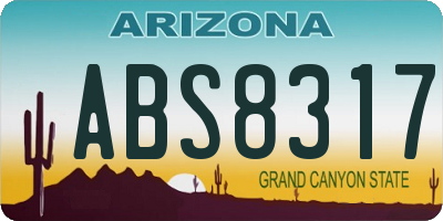 AZ license plate ABS8317
