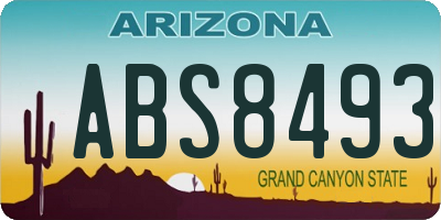 AZ license plate ABS8493