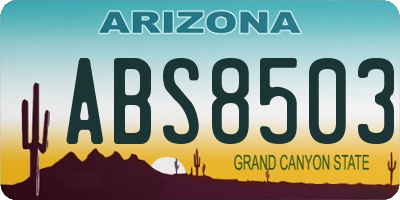 AZ license plate ABS8503