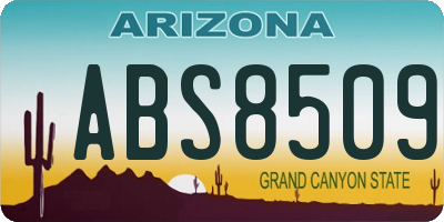 AZ license plate ABS8509
