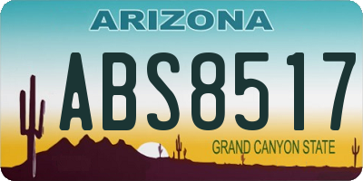 AZ license plate ABS8517