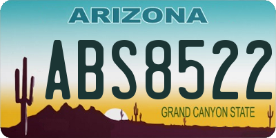 AZ license plate ABS8522
