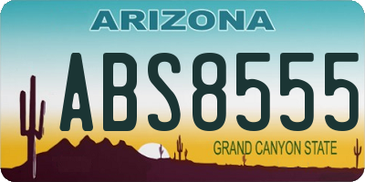 AZ license plate ABS8555