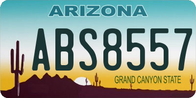 AZ license plate ABS8557