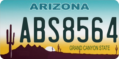 AZ license plate ABS8564