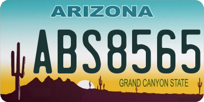 AZ license plate ABS8565