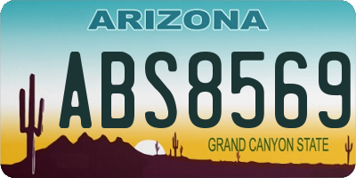 AZ license plate ABS8569