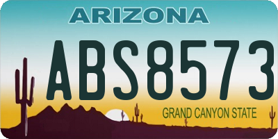 AZ license plate ABS8573