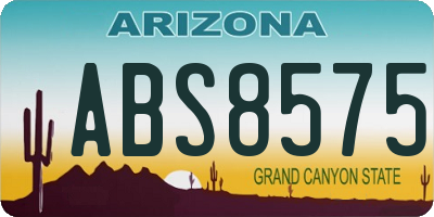 AZ license plate ABS8575