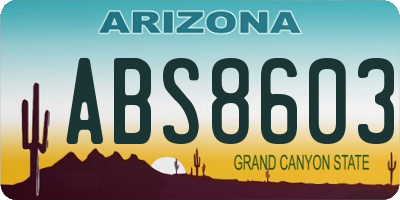 AZ license plate ABS8603